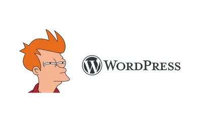 That meme of Fry from futurama like hmmm staring at the Wordpress logo
